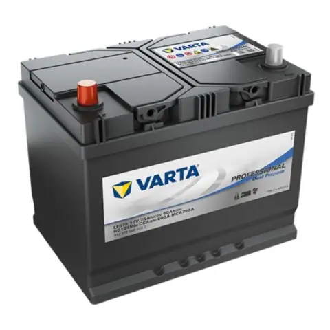 Endast idag VARTA Professional Dual Purpose LFS75 Fritidsbatteri
